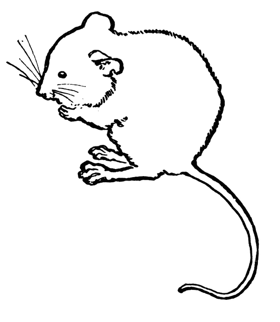 clipart mouse cartoon - photo #43