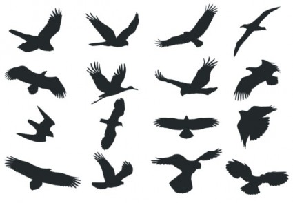 Bird silhouette vector Vector Silhouettes - Free vector for free ...