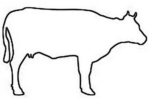 clip art cow outline - photo #15