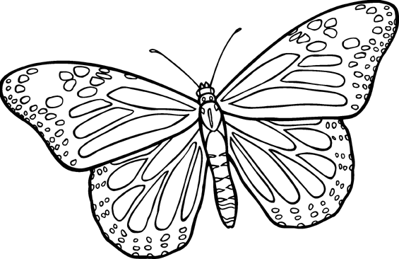 Butterfly Line Drawings - ClipArt Best