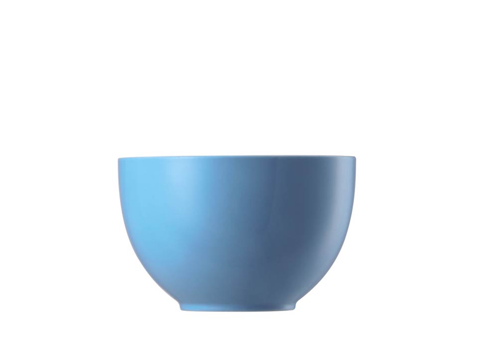 Sunny Day WaterBlue Fruit/Cereal Bowl from Thomas by Rosenthal in ...