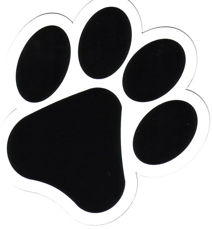 Cat paw print | Bunting Ideas | Pinterest
