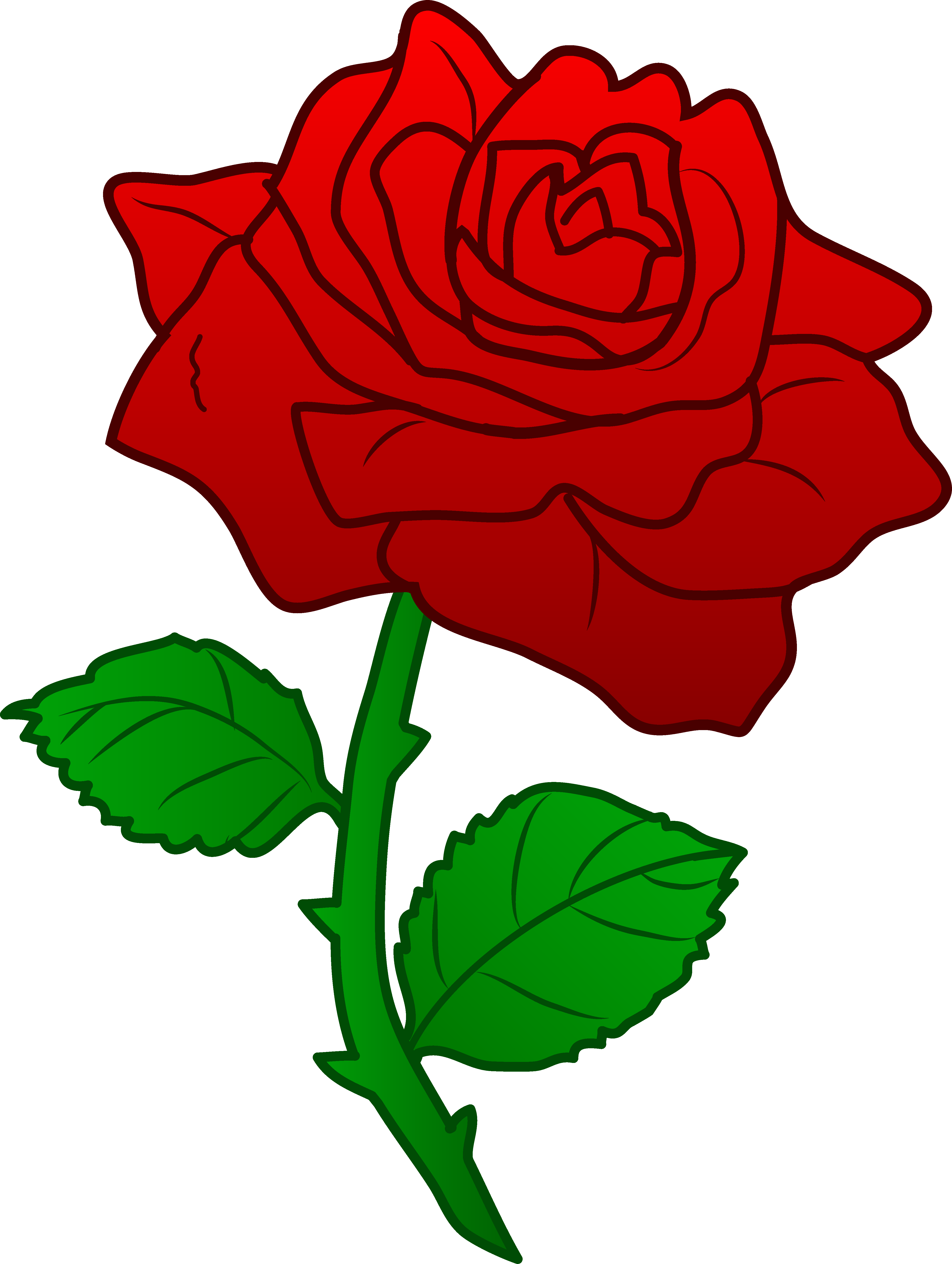Beautiful Red Rose - Free Clip Art