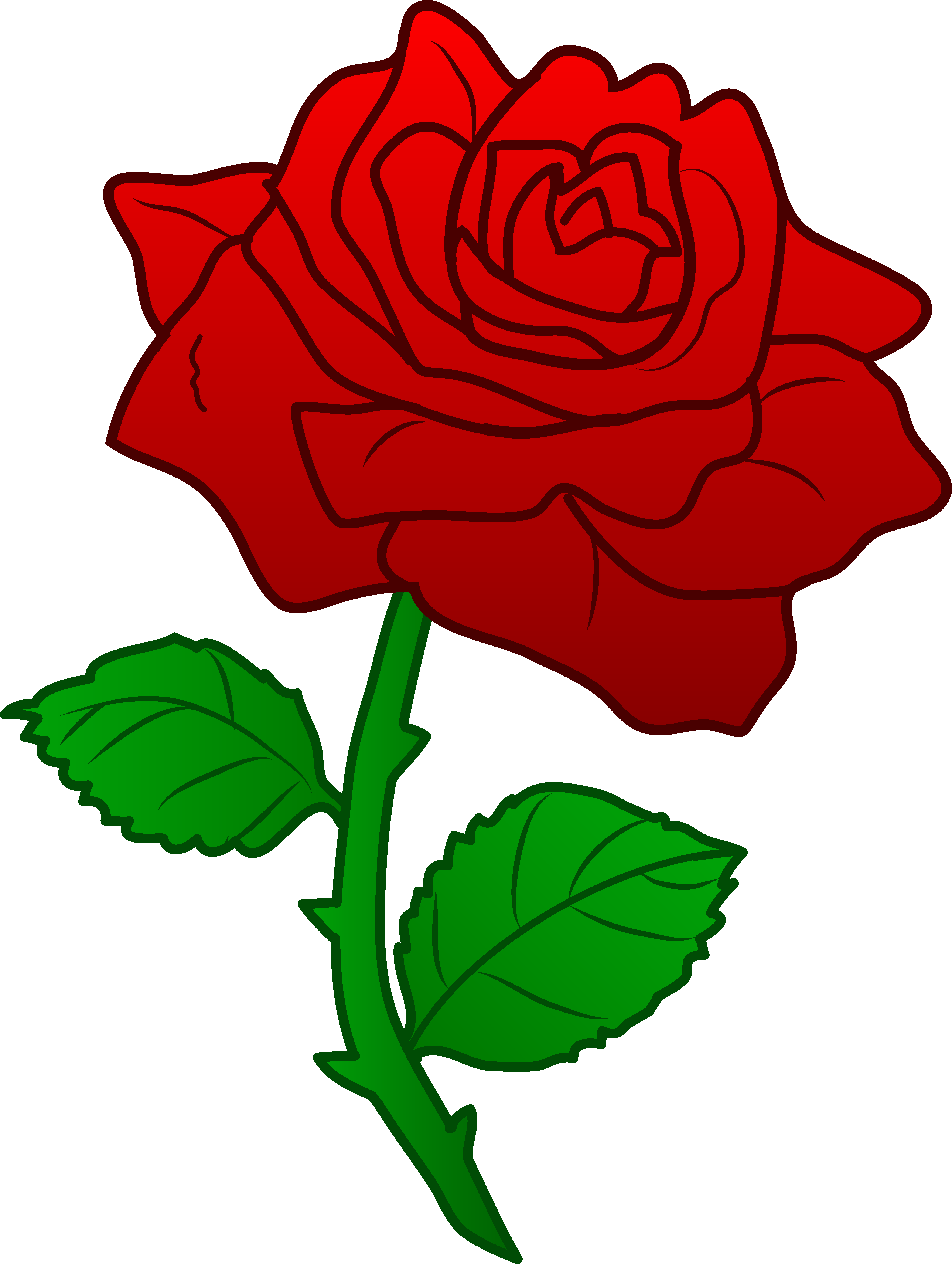 clipart rose bush - photo #40