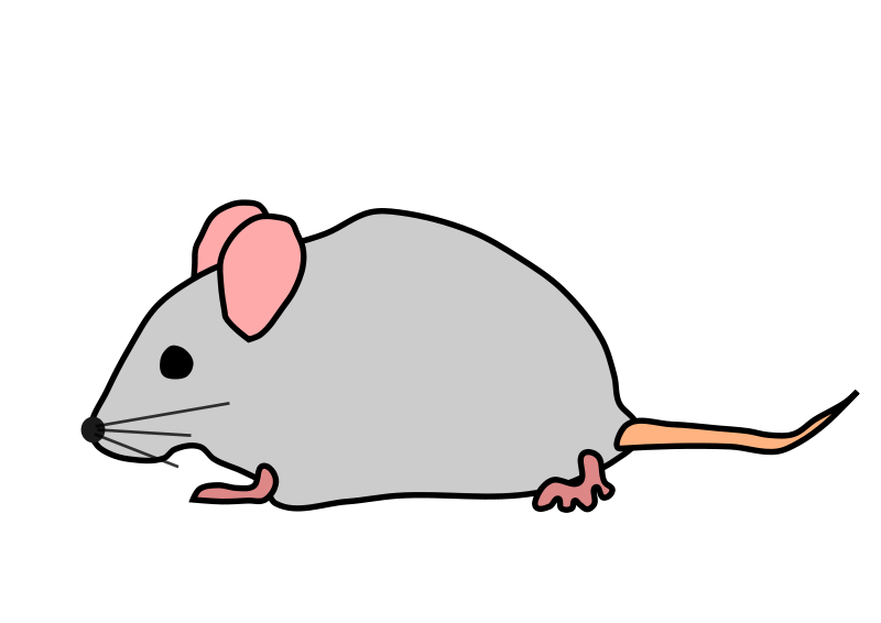 Free to Use & Public Domain Rodent Clip Art - Page 2