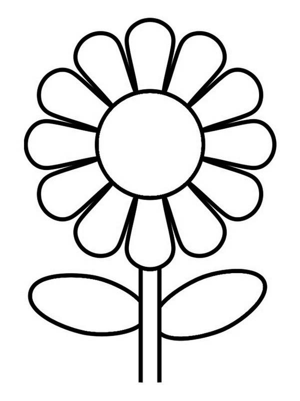 Great Sunflower Coloring Page - Download & Print Online Coloring ...