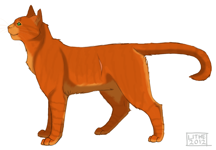 warrior cat drawings firestar | Basketball Team and Players Image ...