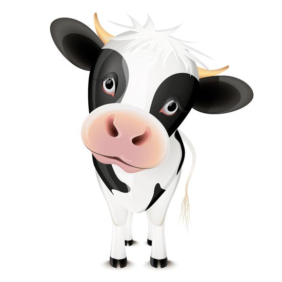 Baby-cow-vector-cartoon.jpg (550×550) | clipart | Pinterest