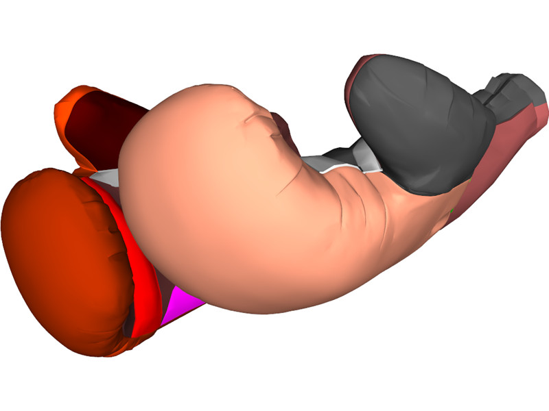 Boxing Gloves 3D Model Download | 3D CAD Browser