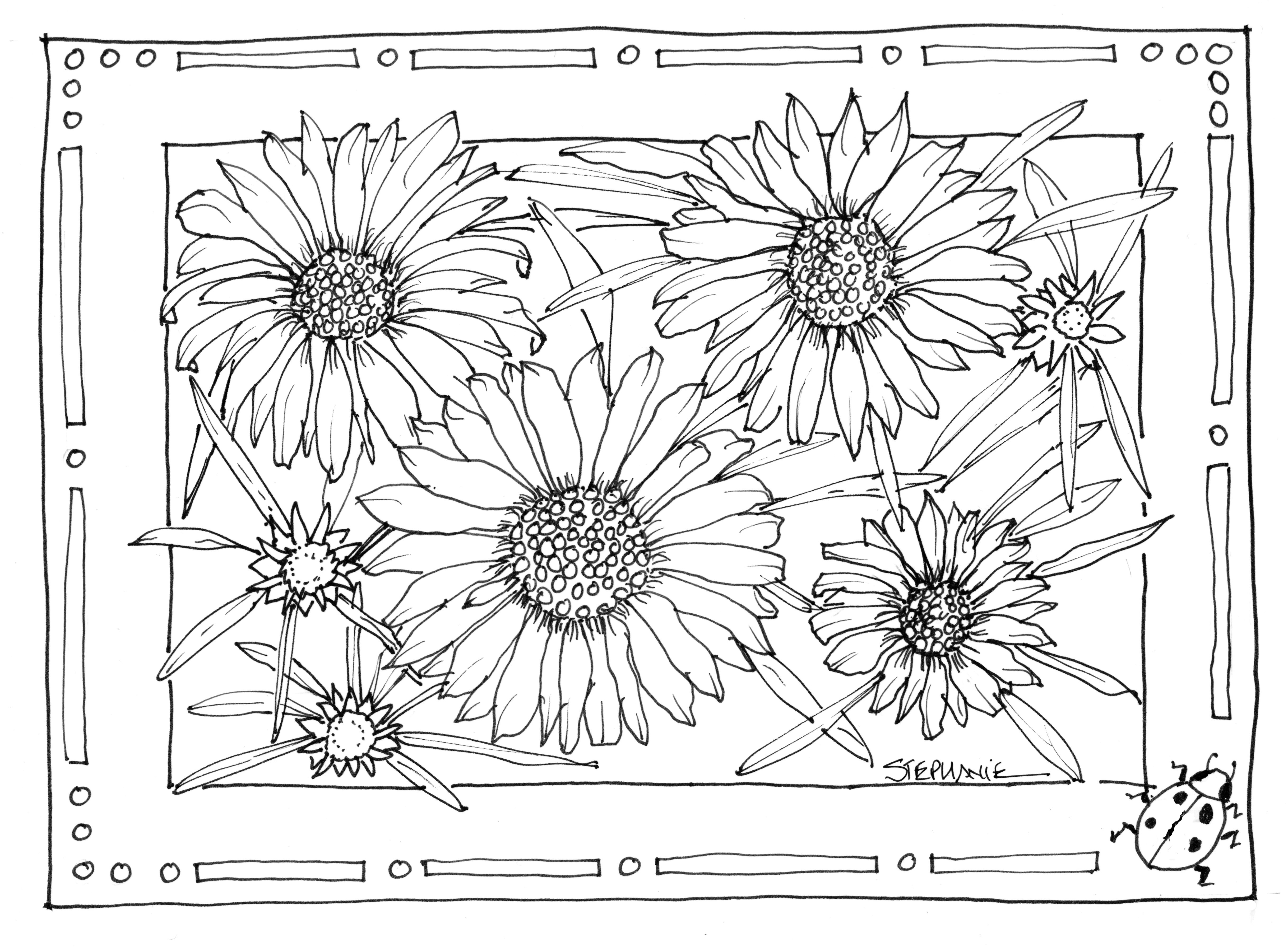 Hand Drawn Nature Coloring Pages | Drawing + Hand