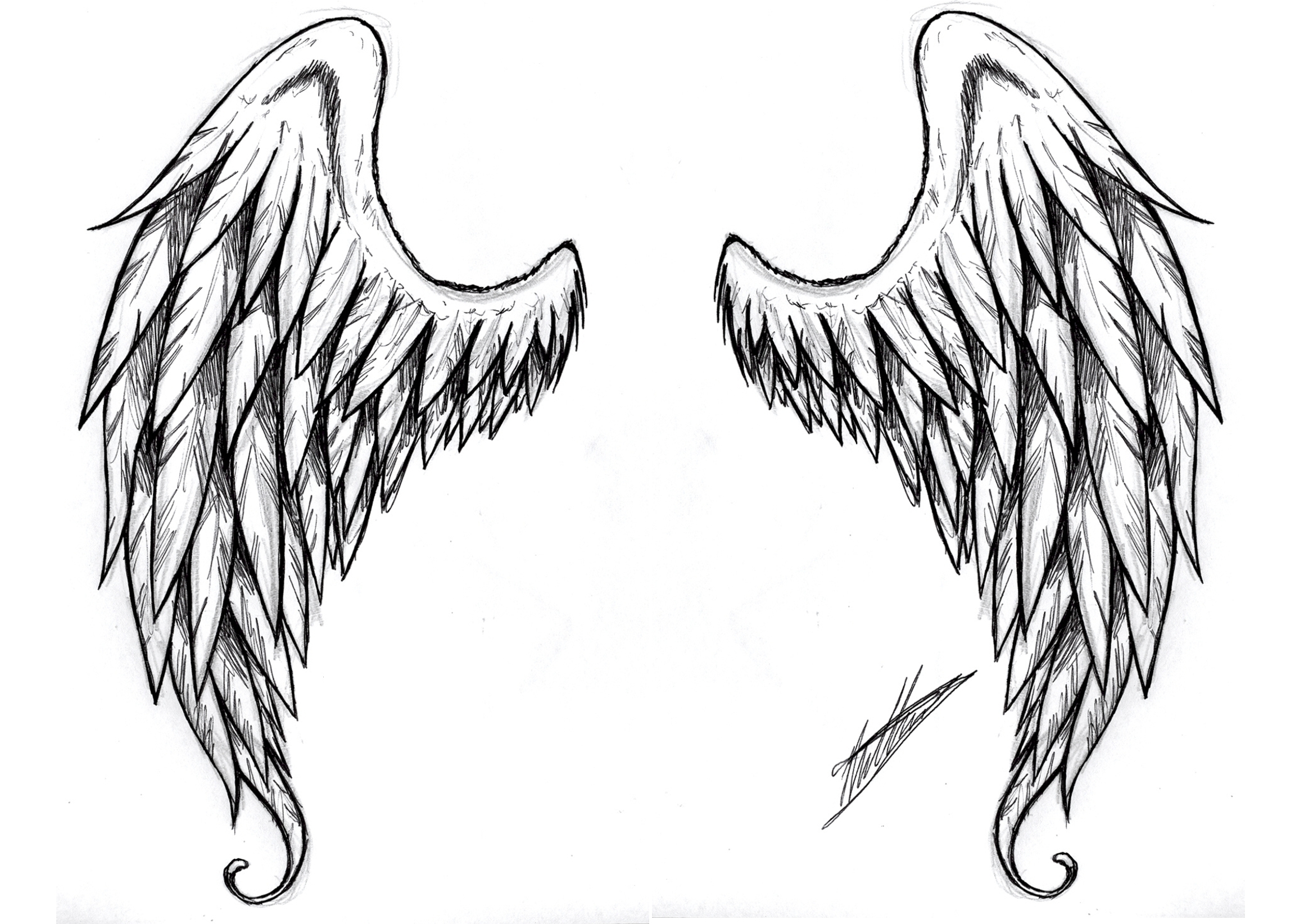 Detailed Angel Wings Drawing - Gallery