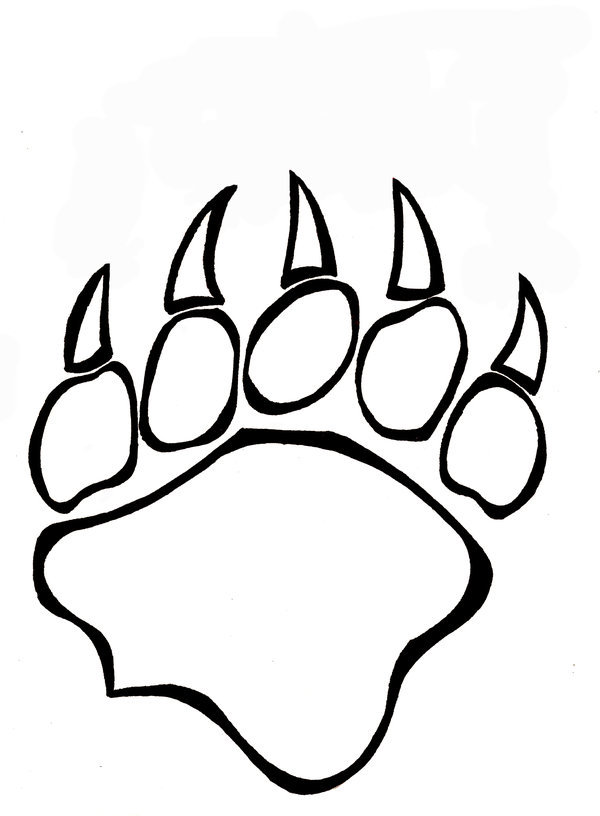 bear paw print drawing