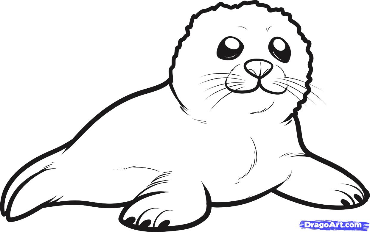Coloring Pages Sea Lion Coloring Page sea lion coloring pages eassume com california page