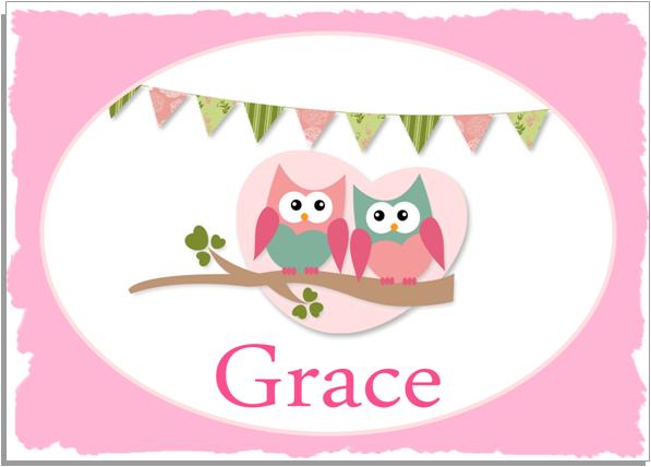 Personalised Placemat A4 Cute Hoots Pink Border Owls Bunting BY ...