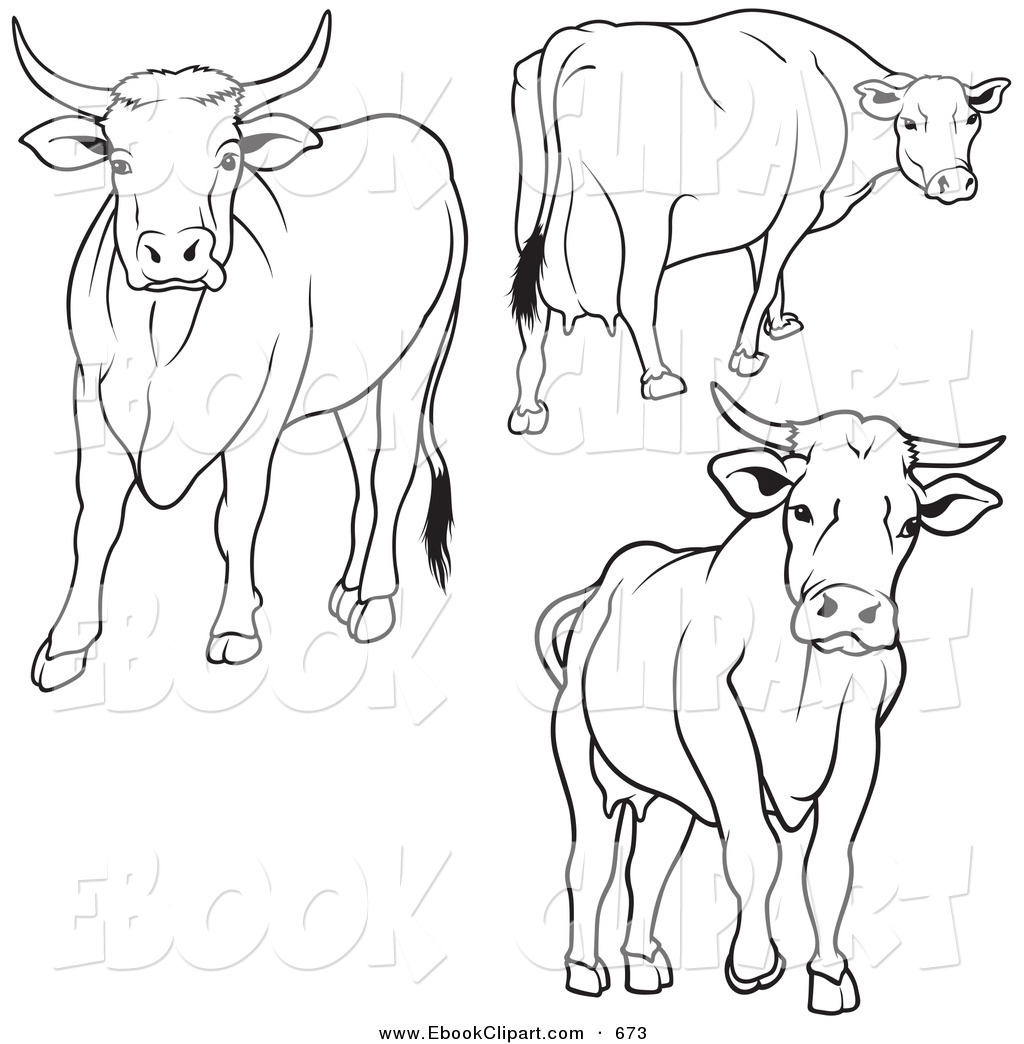 Vector Clip Art of a Digital Set of 4 Black and White Cow Outlines ...