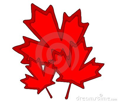 Maple Leaves Clipart - Gallery