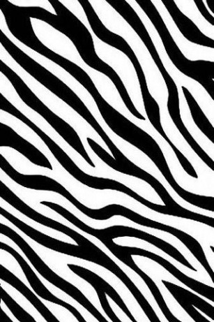 Zebra print Wallpaper for Android by Musical Bands Celebrity Art ...