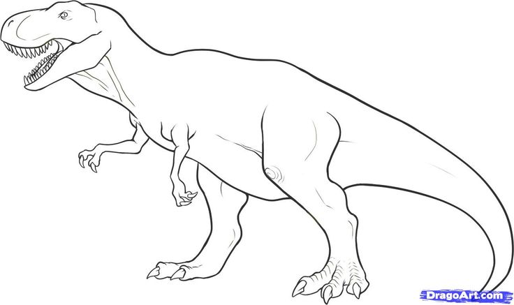 Dinosaur Outline Printable | how to draw a tyrannosaurus rex ...