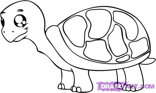 Cartoon Turtles To Draw - Gallery