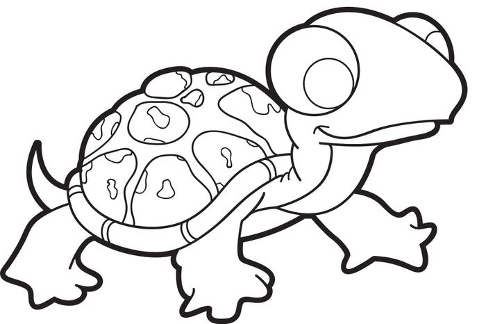 cartoon turtles coloring pages : Printable Coloring Sheet ~ Anbu ...