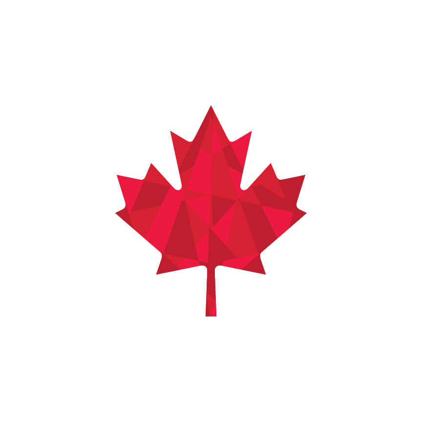 Maple Leaf Graphic