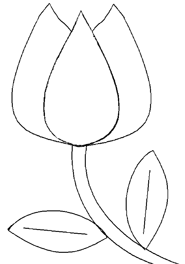 printable-tulip-outline