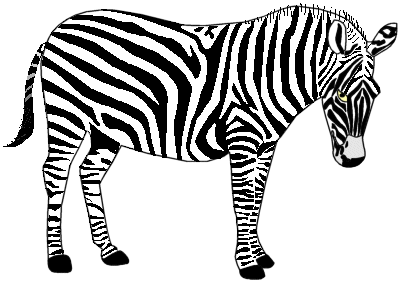 Zebra Clip Art - ClipArt Best