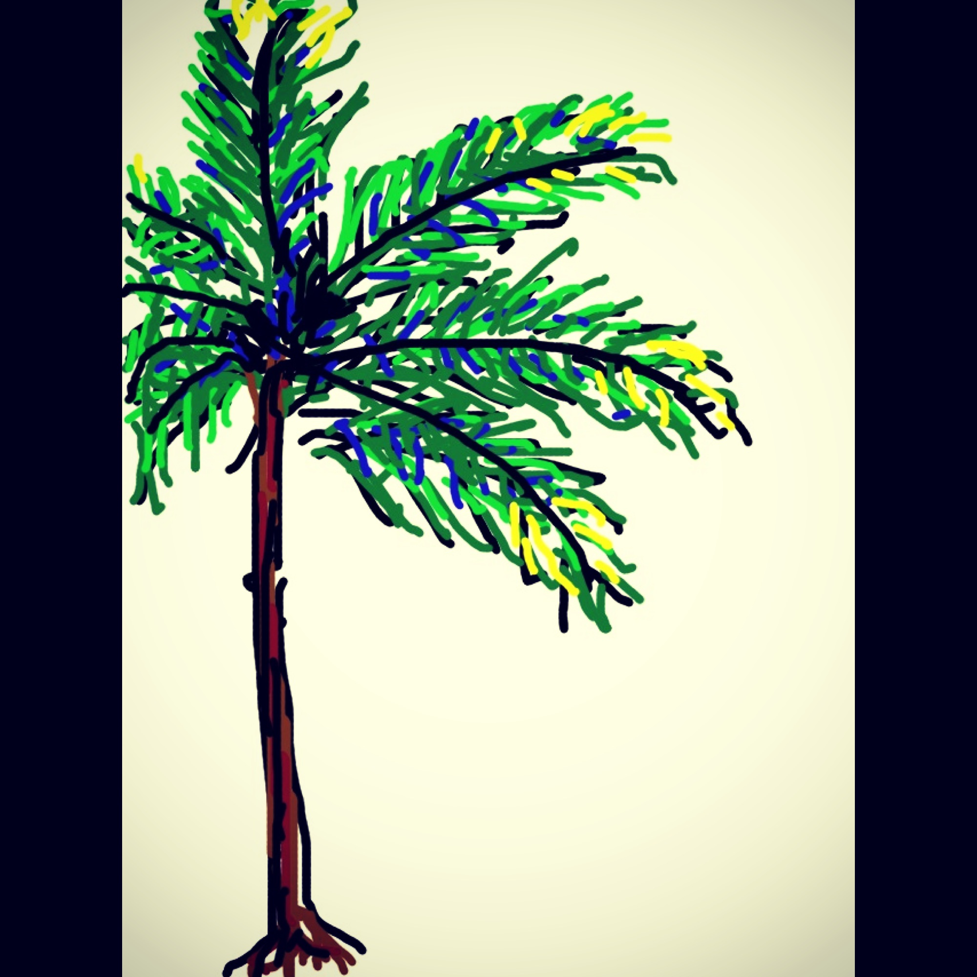 Palm Tree Drawings Color Images & Pictures - Becuo