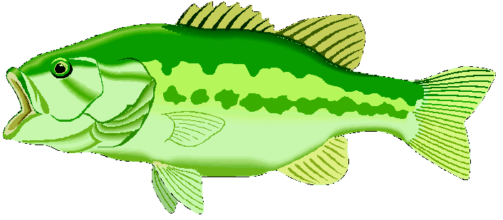 Bass Fishing Clipart - ClipArt Best