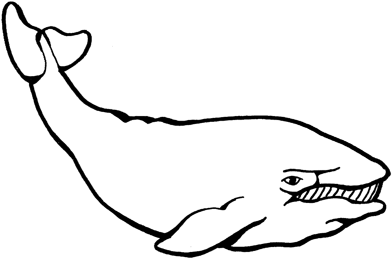 Whale coloring pages for kids - Coloring Pages & Pictures - IMAGIXS