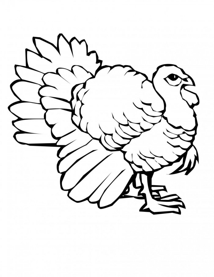 Chicken Coloring Sheets Free Printable | 99coloring.com