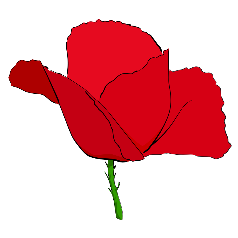 free poppy flower clip art - photo #7