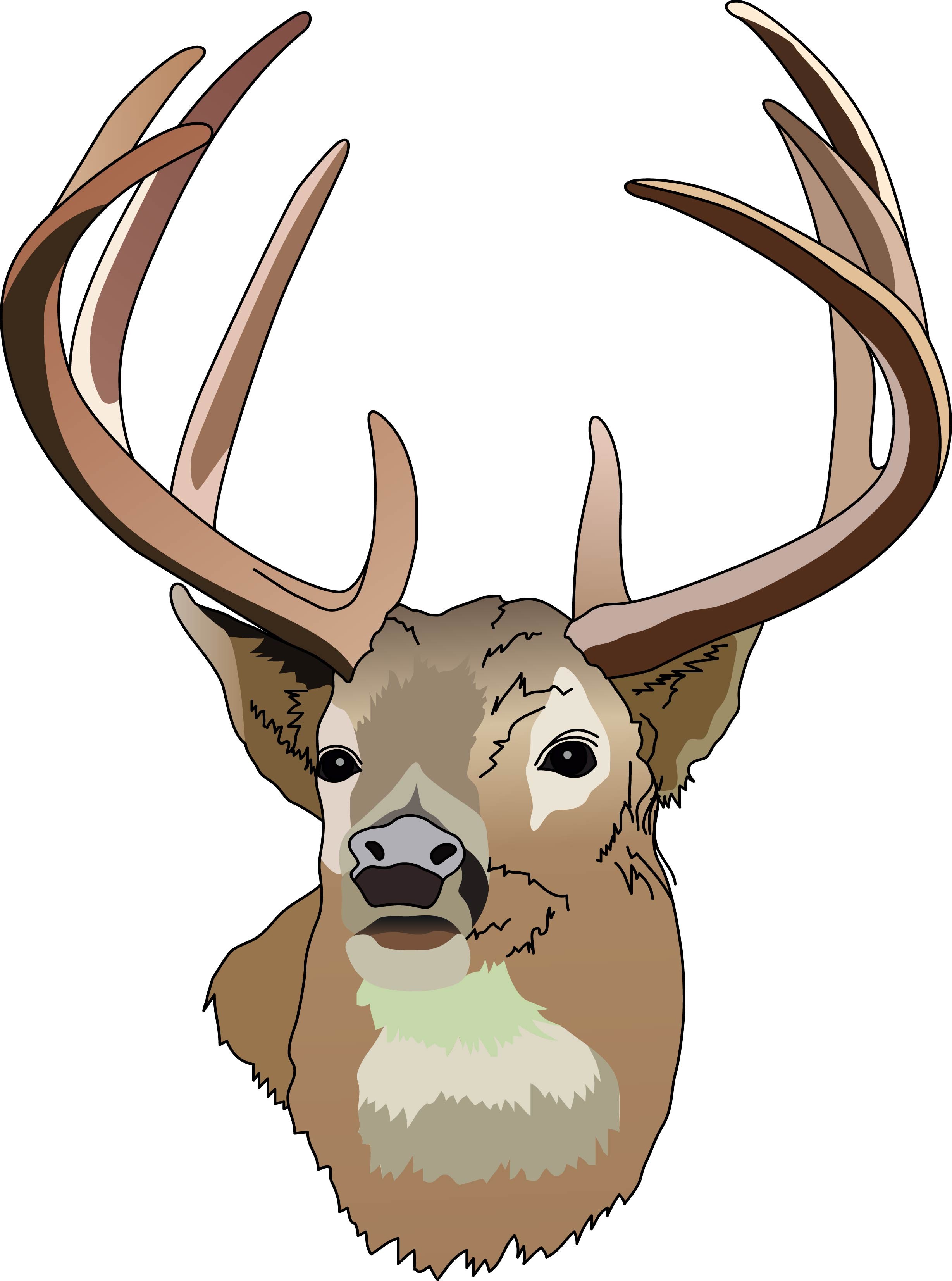 Deer Head Clipart Black And White | Clipart Panda - Free Clipart ...
