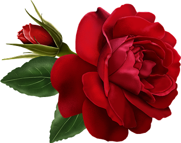Red Rose with Bud Painted Clipart