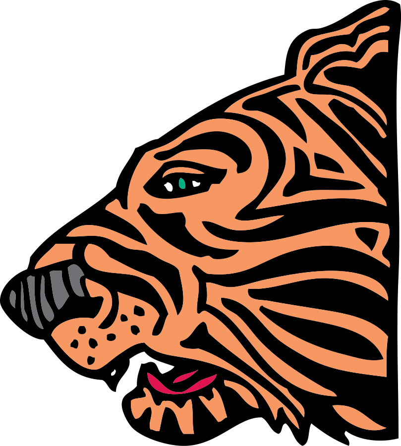 Tiger head large 900pixel clipart, Tiger head design