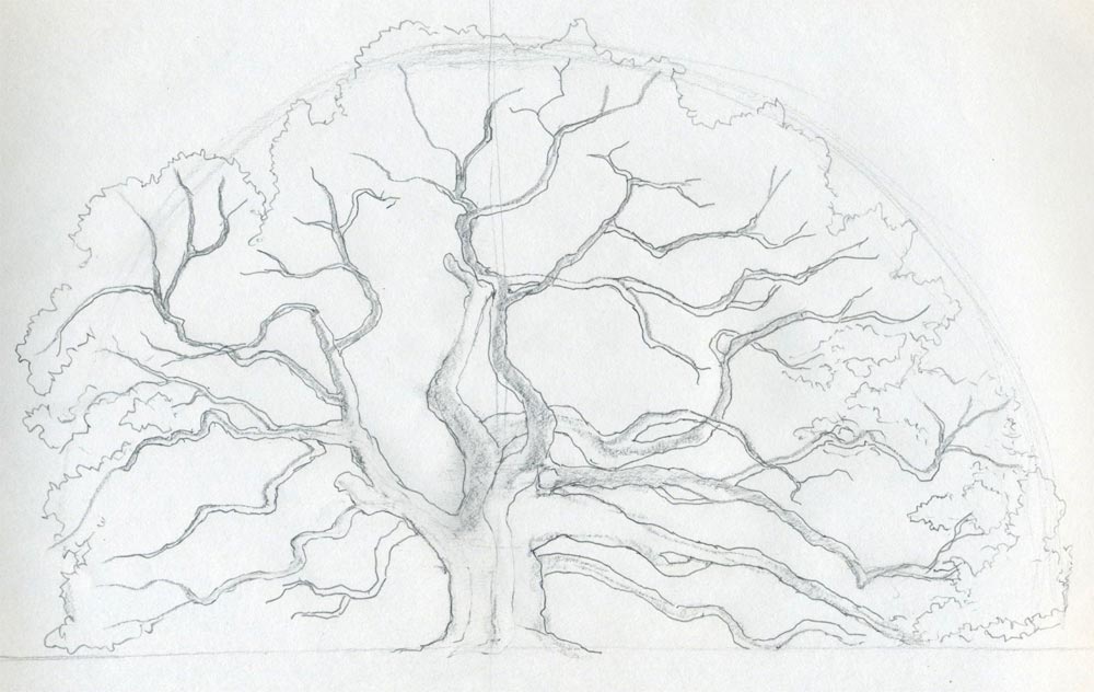 Draw An Oak Tree