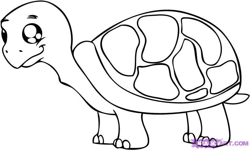 How to Draw a Cartoon Turtle, Step by Step, Cartoon Animals ...