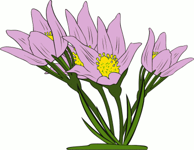 Free Flowers Clipart. Free Clipart Images, Graphics, Animated Gifs ...