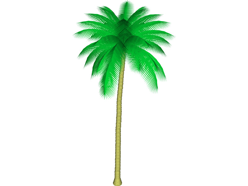 Palm Tree 3D Model Download | 3D CAD Browser