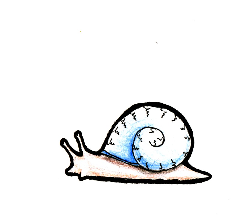Snail Tattoos : Page 59