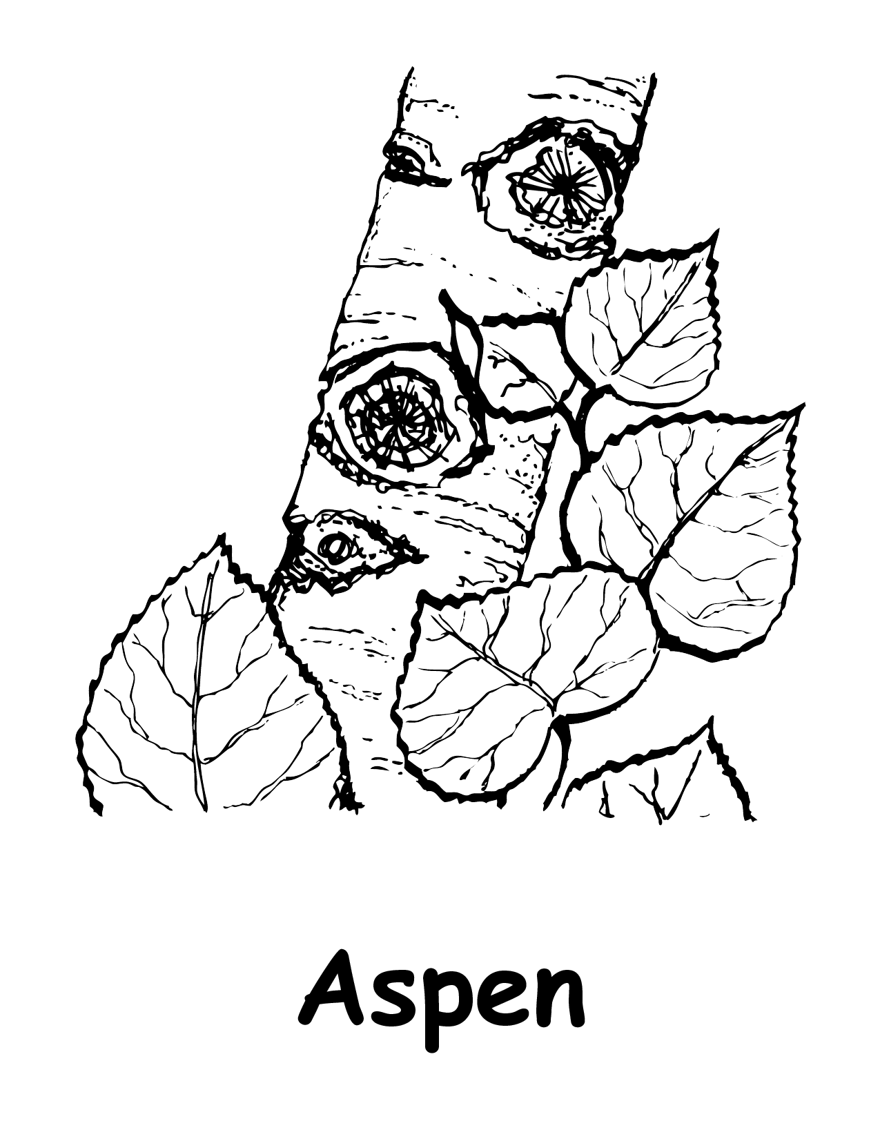 Trends For > Squirrel In Tree Coloring Pages
