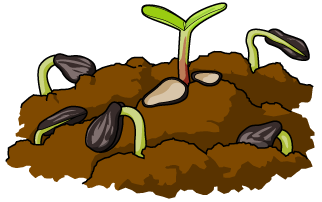 Seeds and Soil clip art - Christart.com