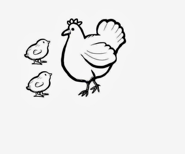 Picture Of Hen In Drawing - ClipArt Best