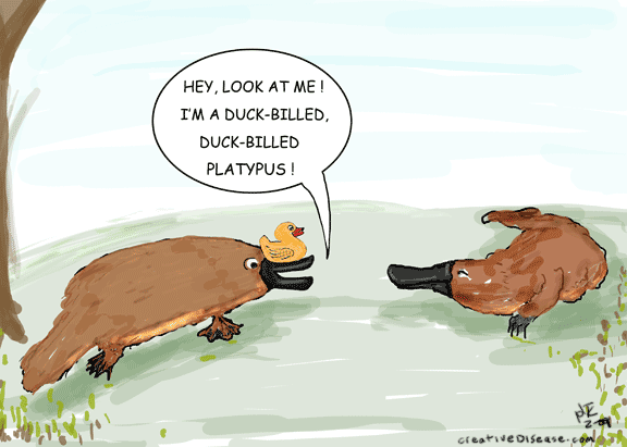 duck billed platypus cartoon