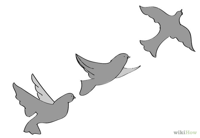 How to Draw Flying Birds: 5 Steps (with Pictures) - wikiHow