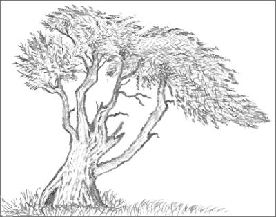 Easy Tree Drawings