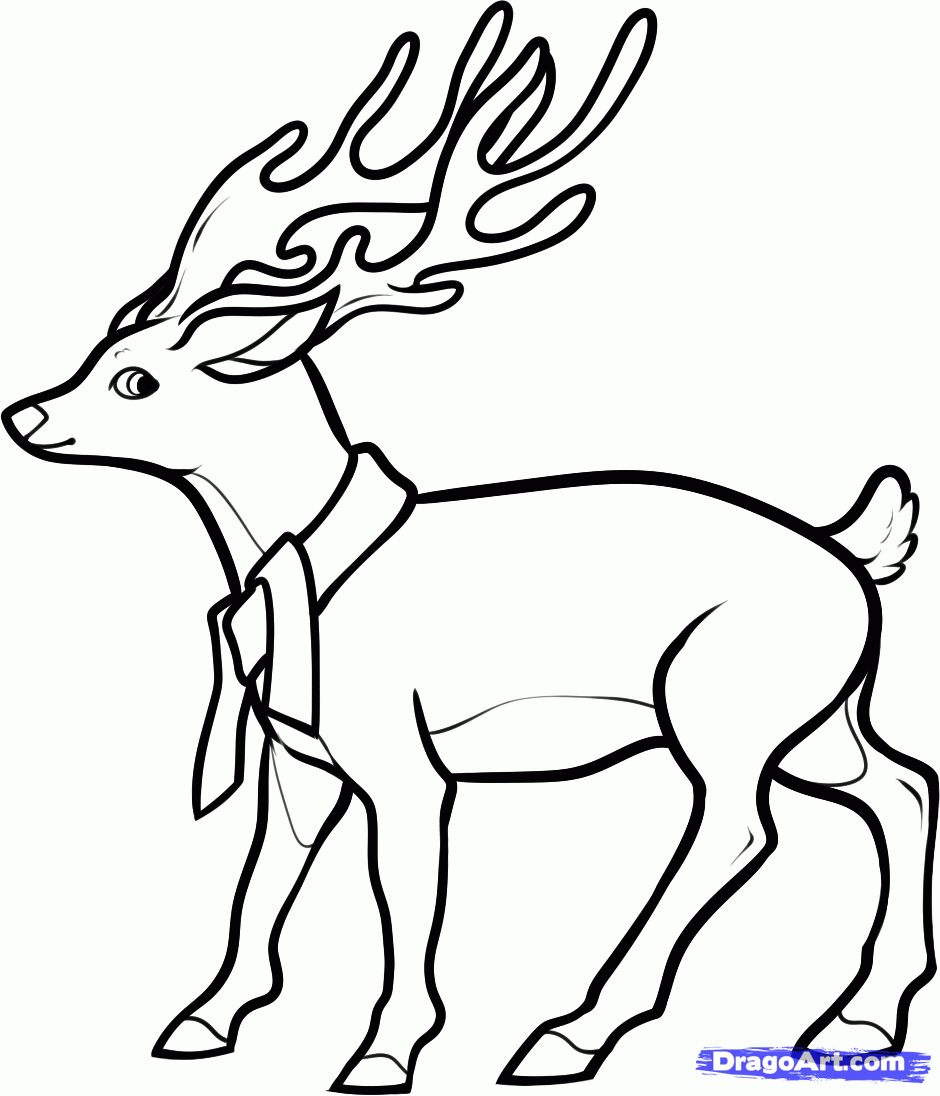 How to Draw a Christmas Deer, Step by Step, Christmas Stuff ...