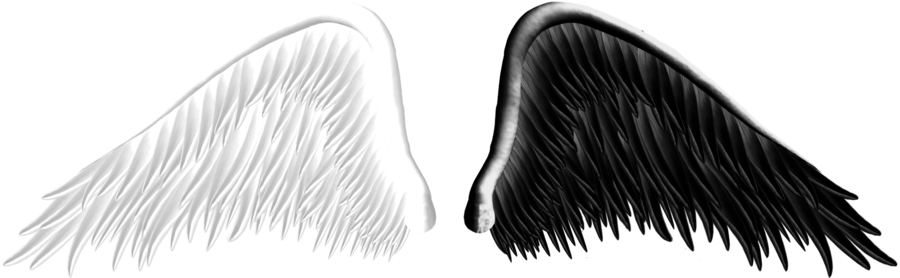 Good and Evil Angel Wings PNG 05 by Thy-Darkest-Hour on DeviantArt