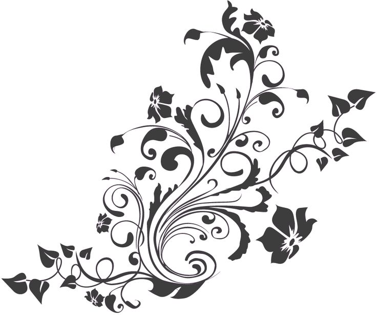 Floral Pattern PNG | Misc. Design Elements | Pinterest