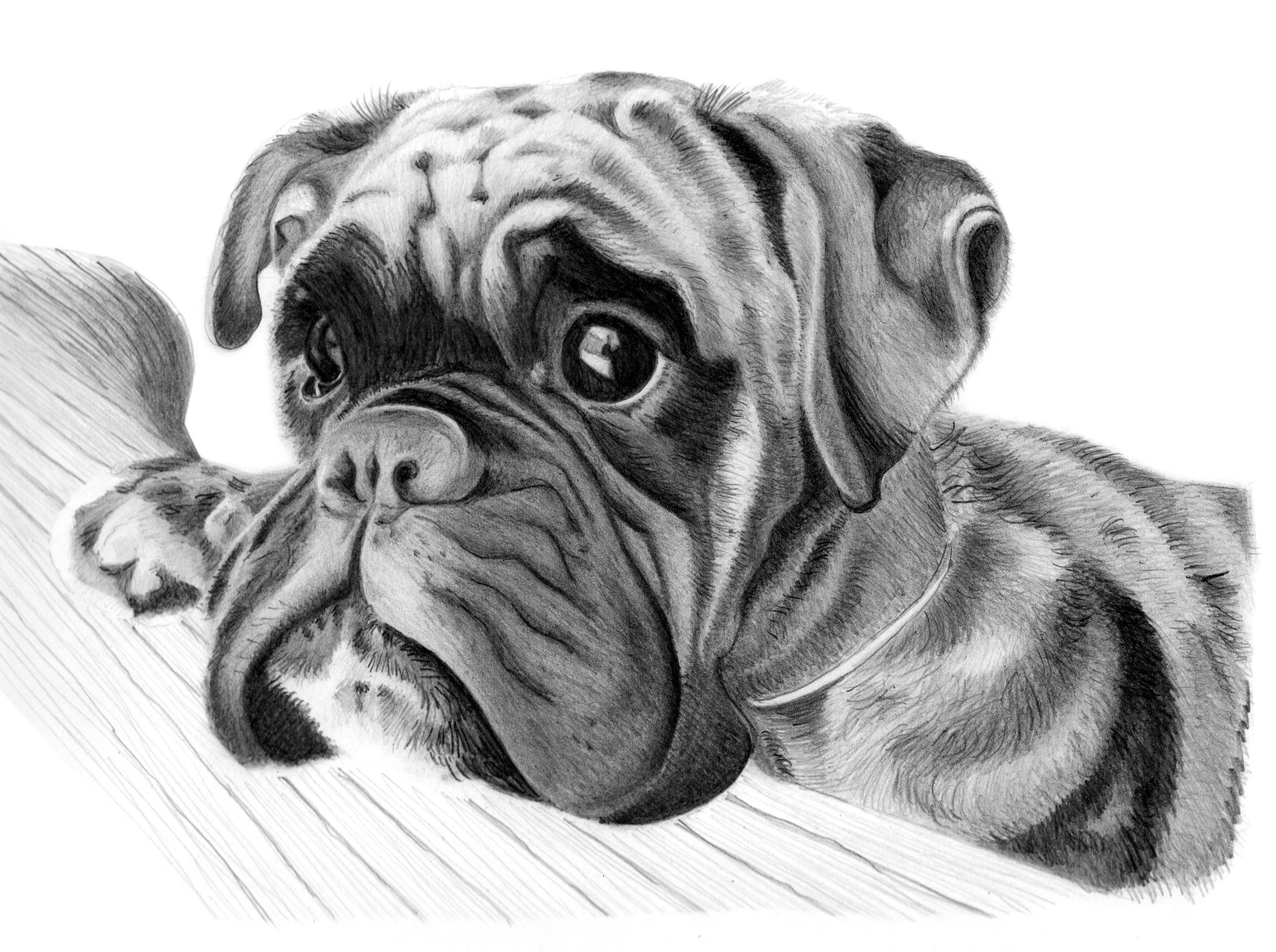 Drawings Of Dog - Cliparts.co
